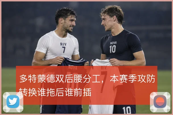 多特蒙德双后腰分工，本赛季攻防转换谁拖后谁前插