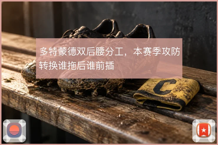 多特蒙德双后腰分工，本赛季攻防转换谁拖后谁前插